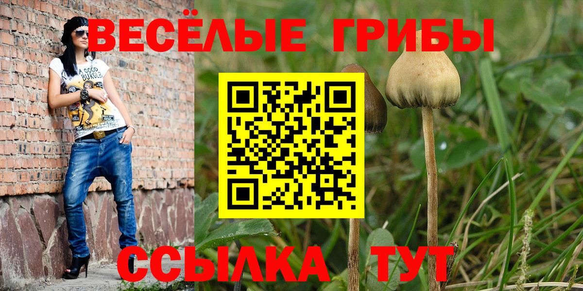 Псилоцибиновые грибы Psilocybine cubensis  Вход с VPN  Азнакаево 