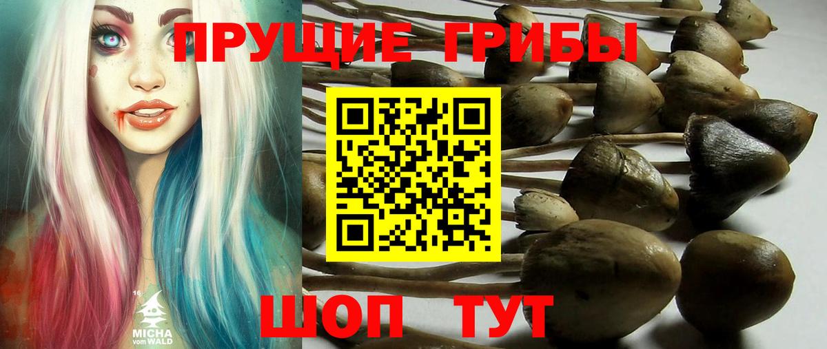 Галлюциногенные грибы Magic Shrooms Азнакаево